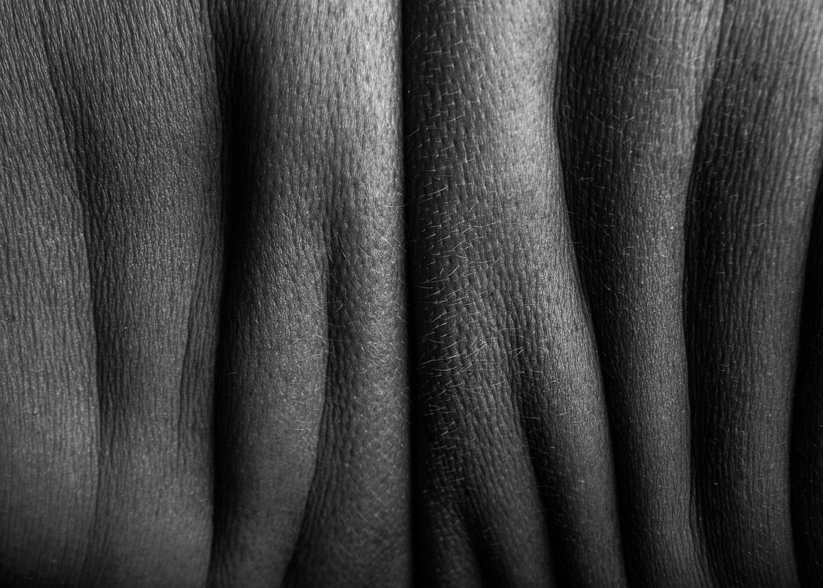 Close-up of textured skin in shades of black and gray, featuring soft lines and subtle hair details, creating an abstract pattern.