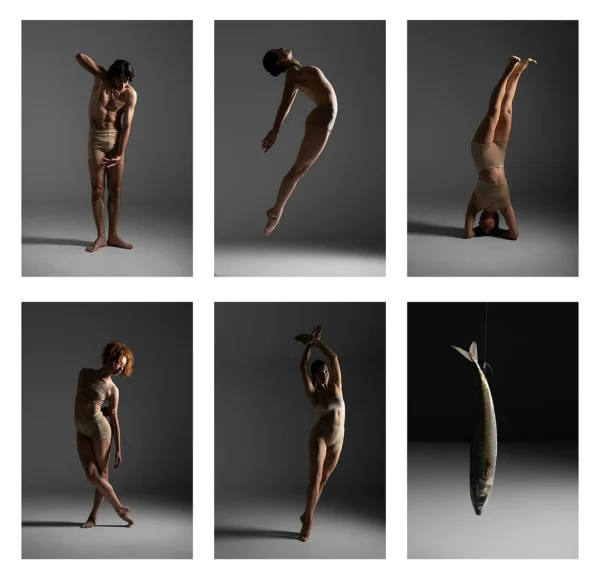 Stills, five dancers responding to the photograph of a suspended fish